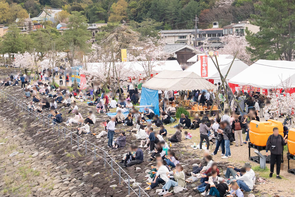「第５０回 宇治川さくらまつり」の画像１