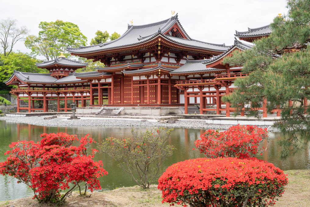 世界遺産「平等院」　画像１