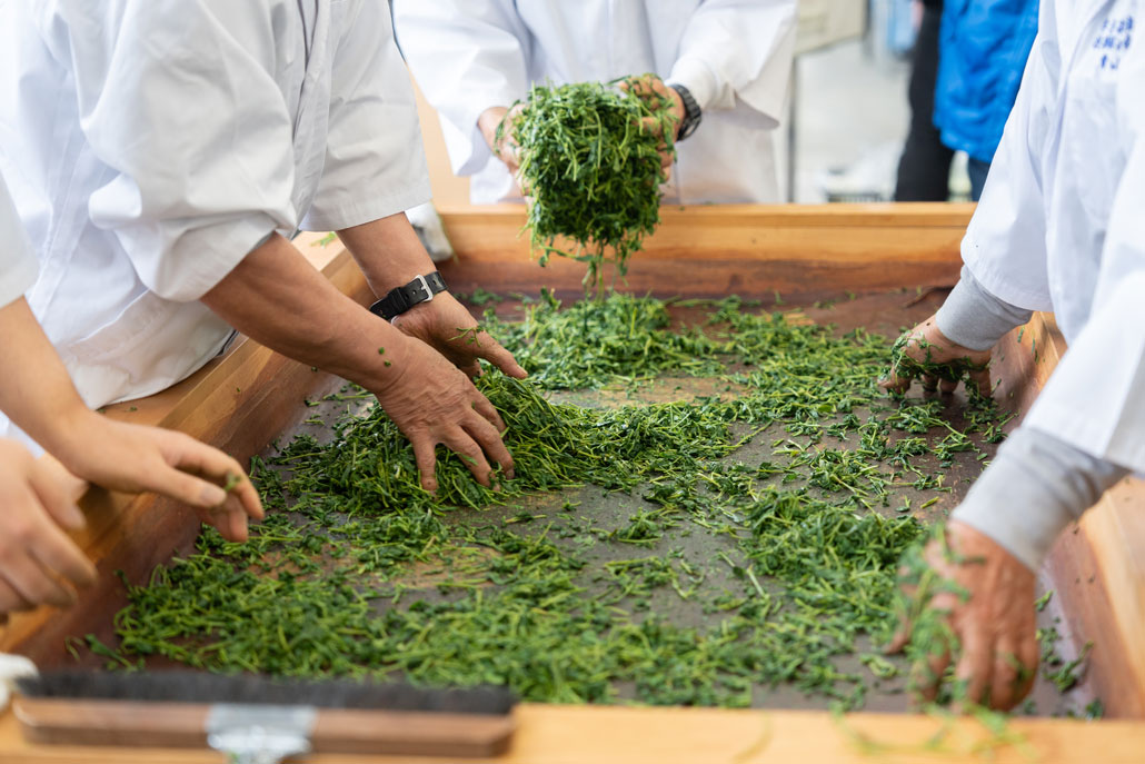 令和8年5月2日、「宇治新茶 八十八夜茶摘みの集い」　手もみ画像