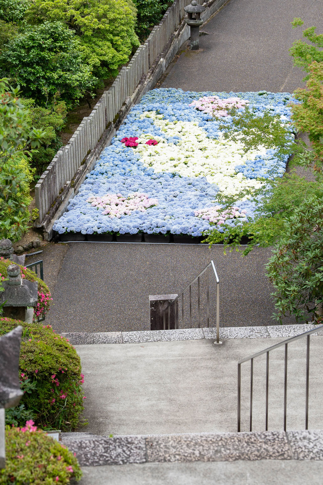 2026年の「三室戸寺」あじさいアートを上から見た画像