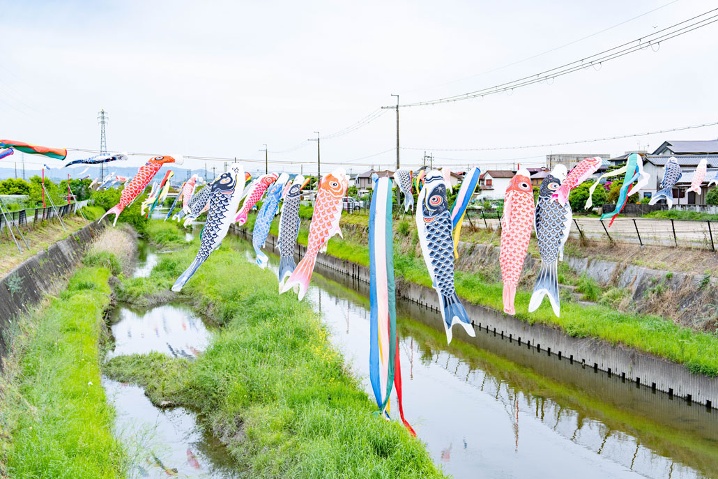 「泳げ鯉のぼり大谷川」