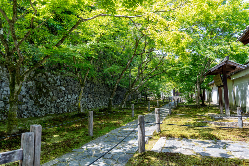 一休寺の静かな境内の画像