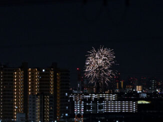 「五六花火」の画像