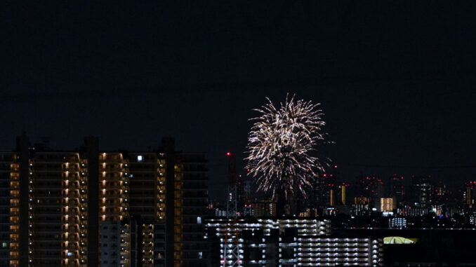 「五六花火」の画像