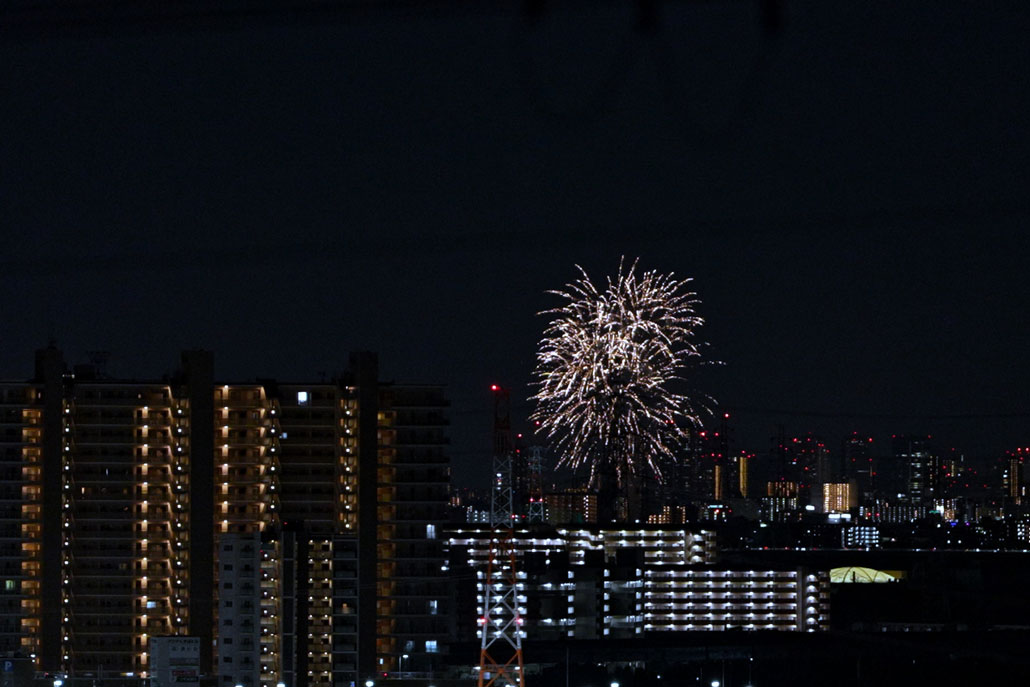 「五六花火」の画像