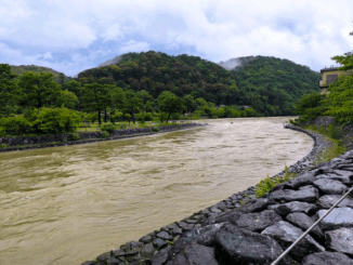 宇治川が増水している画像２