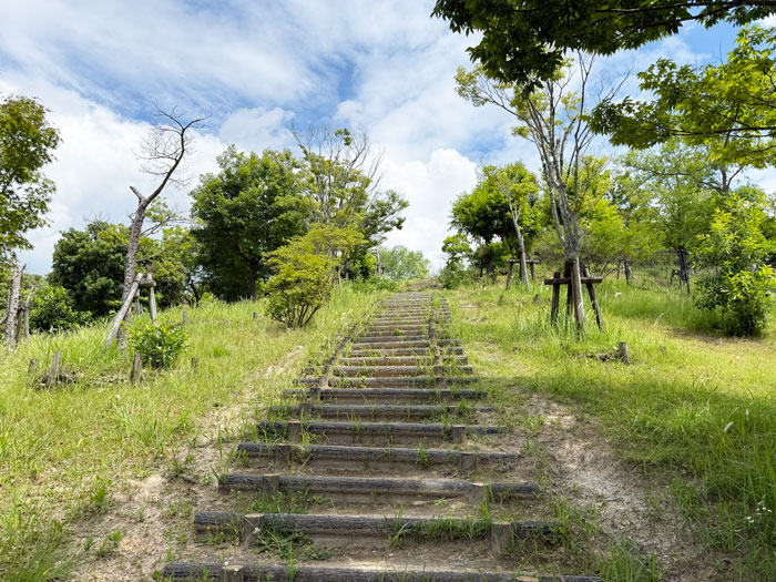 梅美台公園の画像１