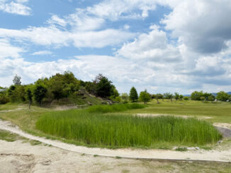 梅美台公園の画像２