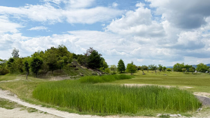 梅美台公園の画像２
