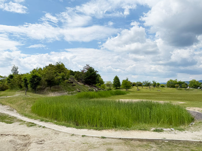梅美台公園の画像２