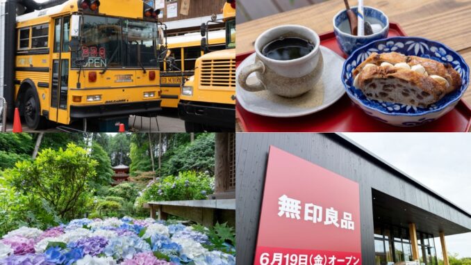 週刊ALCO　令和8年6月20日号の画像