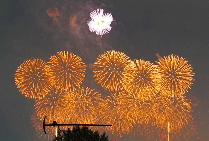 「京都芸術花火２０２６」の画像３