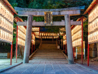 高良神社　提灯献灯の画像１
