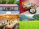 小倉山荘の画像