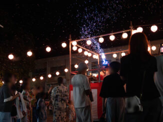 「ちゃぼんだま祭り」の画像４