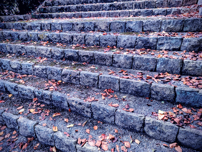 和束町の画像３