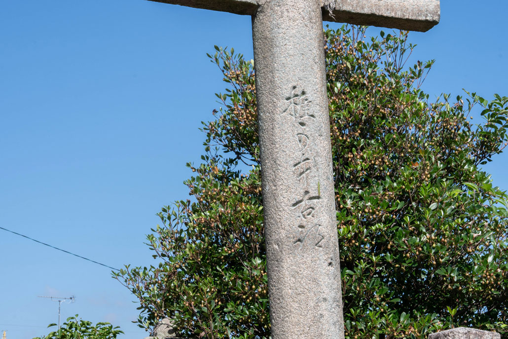 椎本の画像２