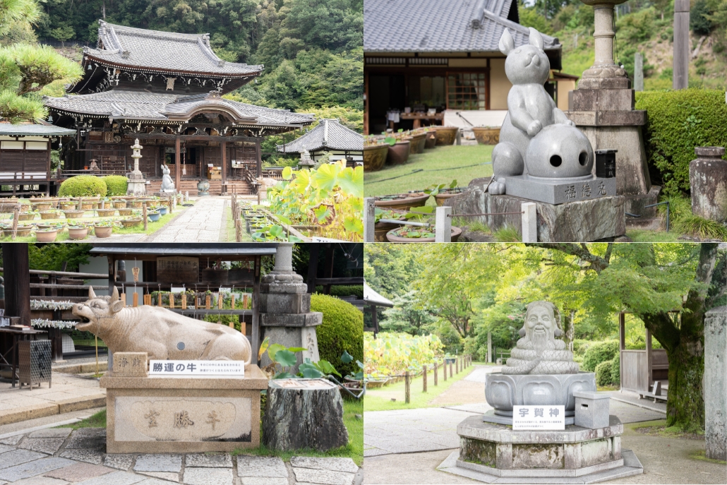 三室戸寺の画像