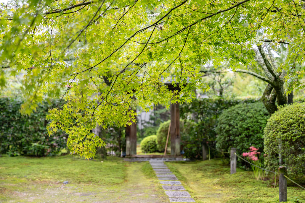 「京たなべお茶まつり」 大茶会の画像