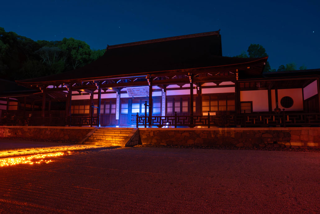 「漆黒に浮かび上がる―国宝を抱く紅龍」光と影の画像